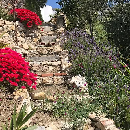 Casa Petra Homestay Canillas de Aceituno