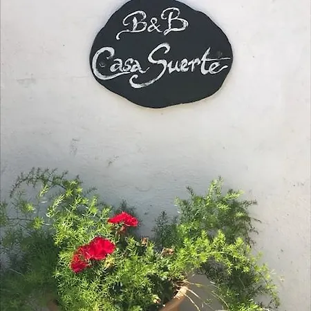 Casa Petra Homestay