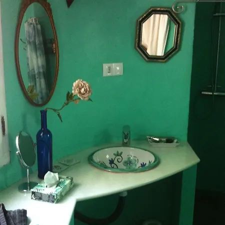 Casa Petra Homestay *